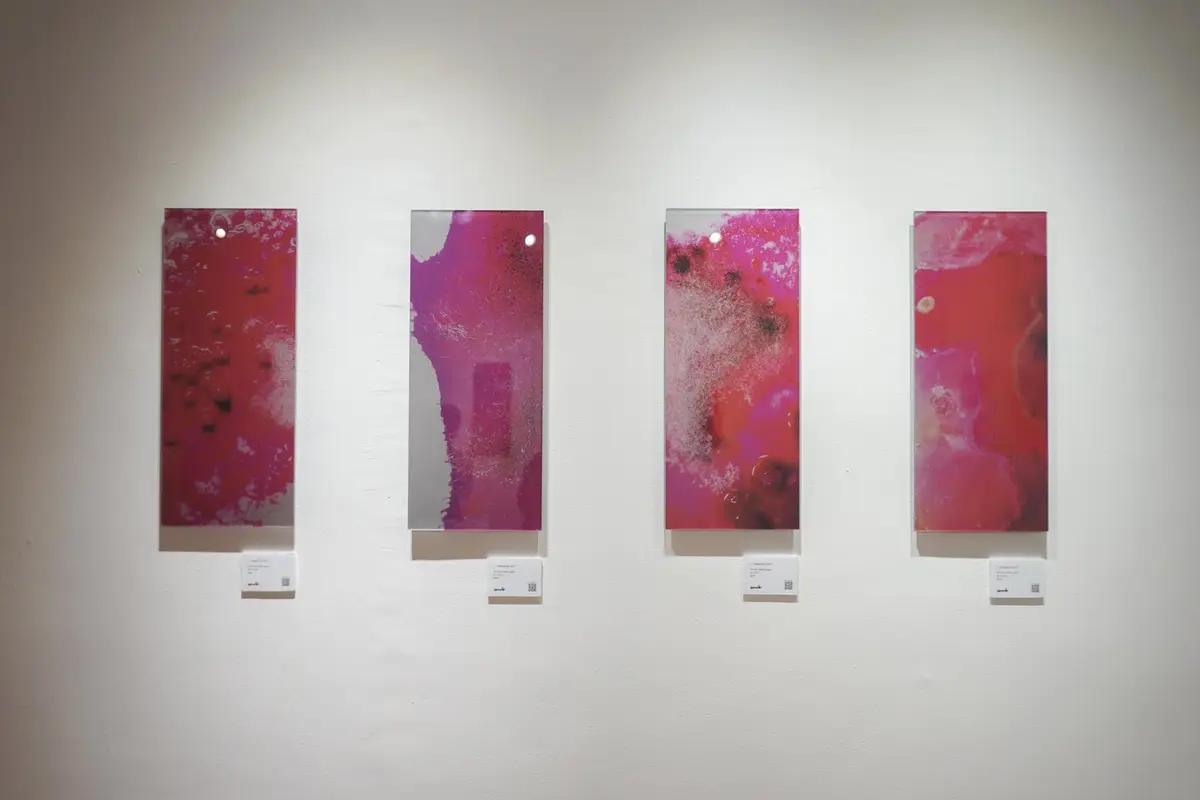 Sporadic: John Navid