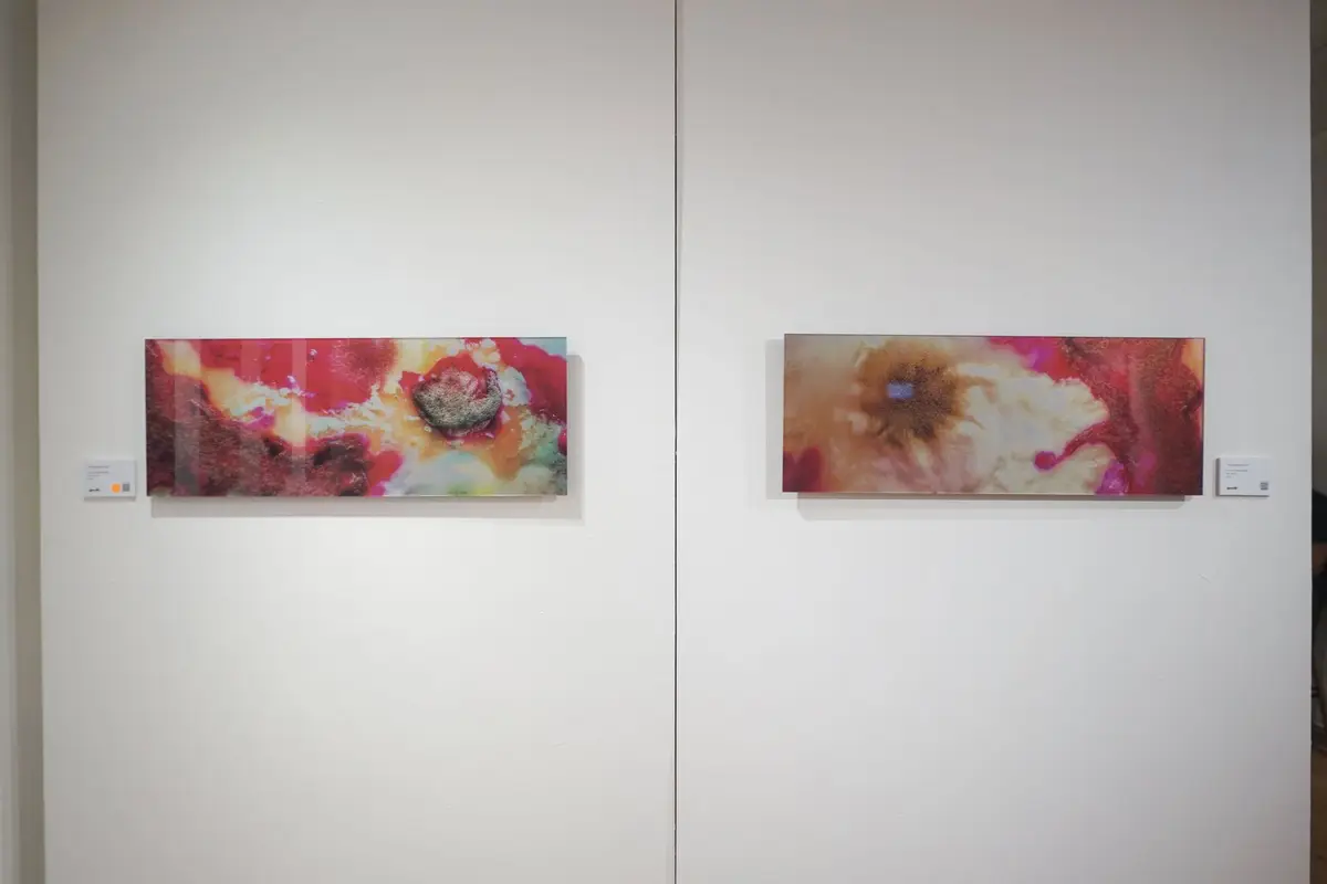 Sporadic: John Navid
