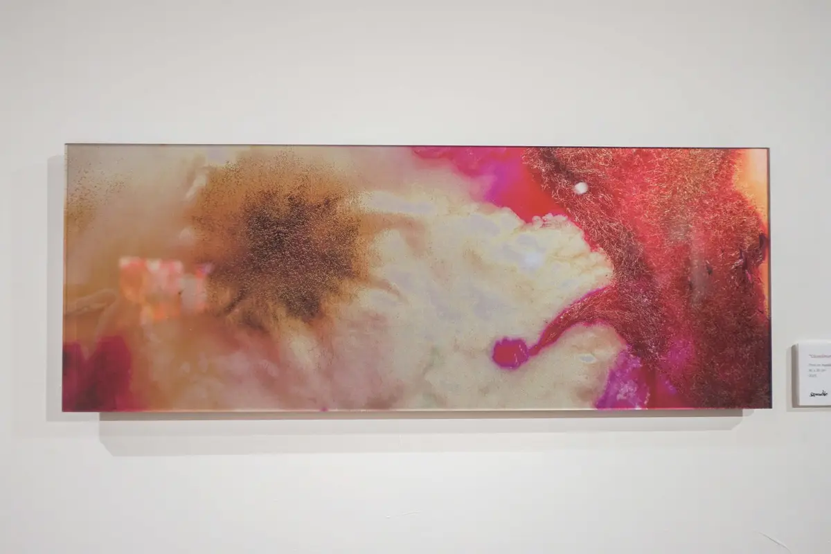Sporadic: John Navid