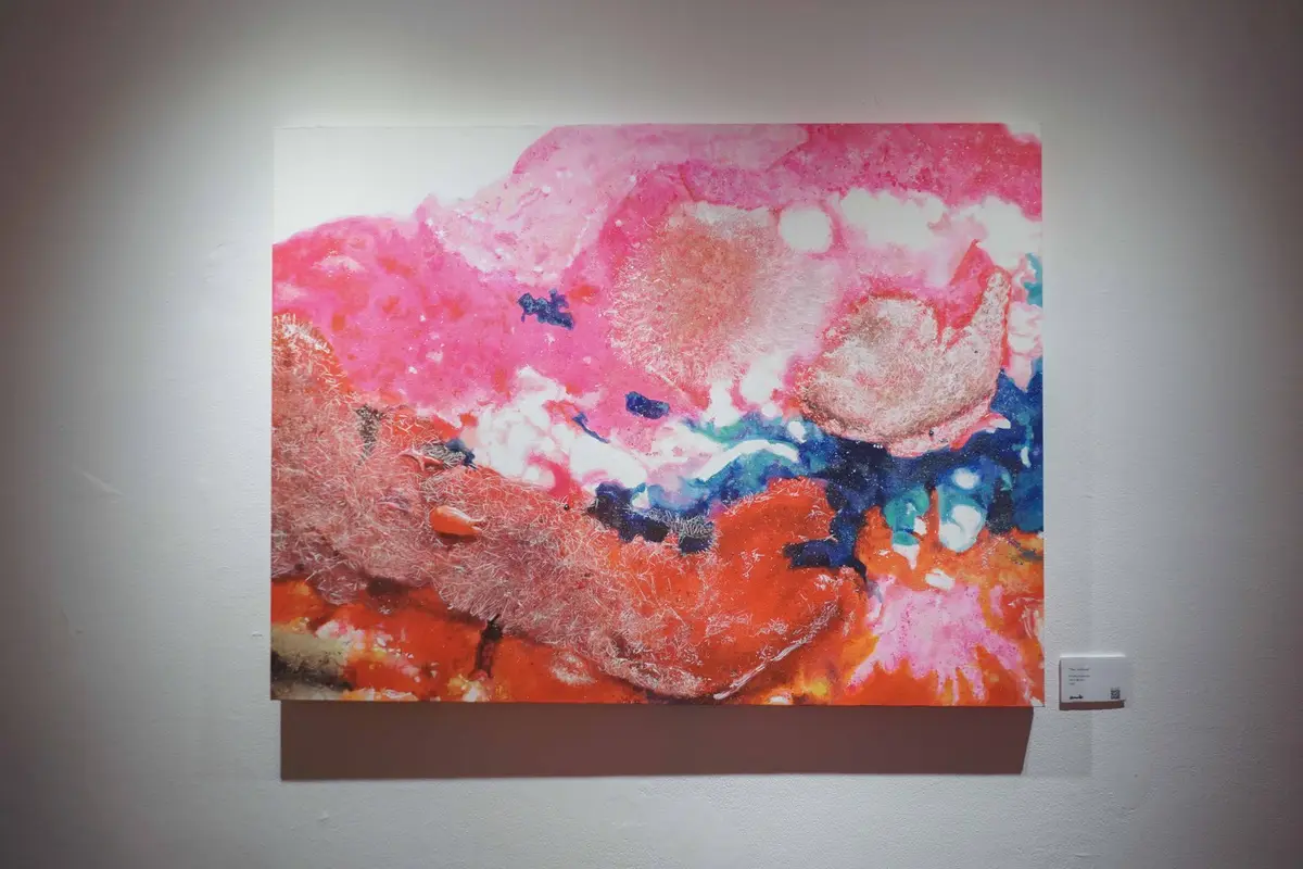 Sporadic: John Navid