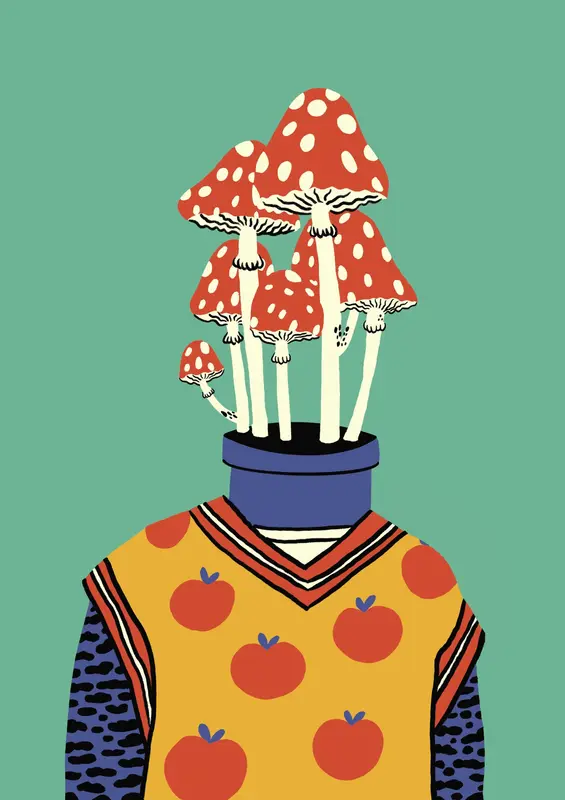 Amanita Muscaria