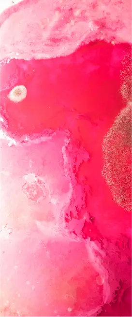 …Magenta (iv)