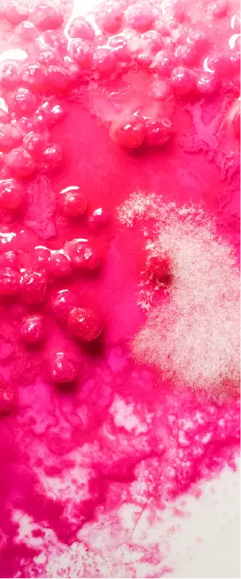 …Magenta (i)