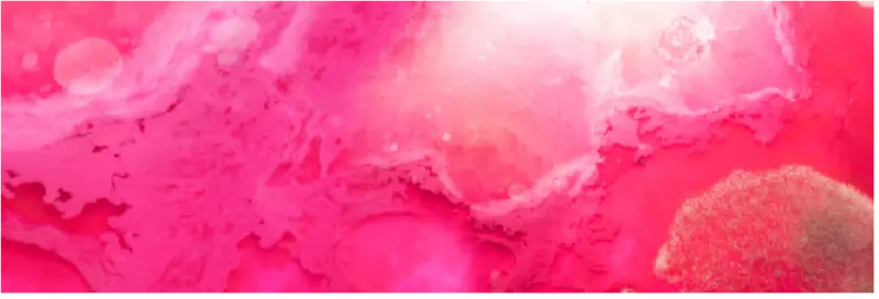 Microcosmic